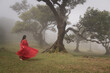 © Milou Dirks - asian girl in red classic dress dansing in mist on mystic morning near old laurisilva trees in Fanal Forest, Madeira