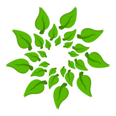 Poster - green leaves in a circle vector. magic circle icon from leaves. circle dryads vector. summer leaves 