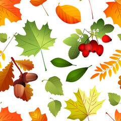 Wall Mural - Autumn seamless cute falling pattern with oak leaves. Vector.