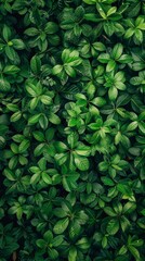 Wall Mural - Vibrant green leaves create a natural texture