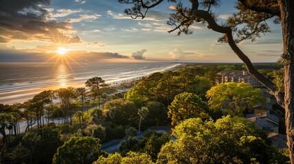 Wall Mural - South Carolina Trees: Sunset Ocean View at Coligny Beach on Hilton Head Island