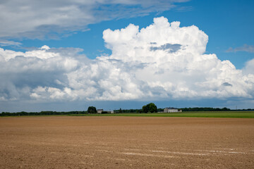 Wall Mural - French country landscape with fields and white clouds on blu sky