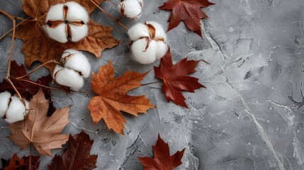 Poster - Autumn arrangement with cotton flowers and dried maple leaves on a gray background fall theme Flat lay top view with space for text