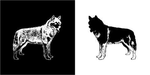 Canvas Print - silhouette wolf  graphic