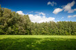© Jerome - Panorama of Scenic Clearing in a Latvian Forest on a Summer Day in latvia, in a typical baltic nature landscape with a blue sky.