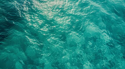 Poster - Turquoise sea water with sunlight reflections, abstract nature background. Tranquil and serene ocean surface concept