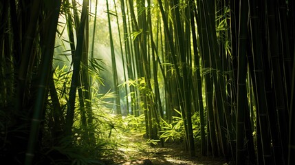 Poster - foliage bamboo silhouette