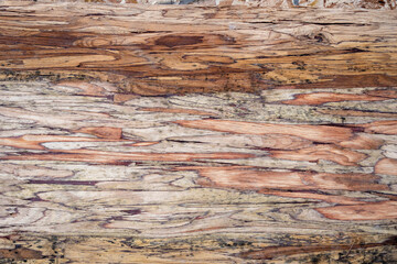 Wall Mural - Wood beam engineered for extra strength, closeup detail, as a construction detail background
