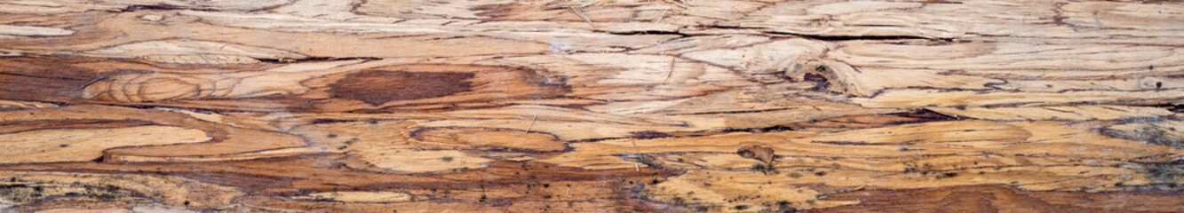 Wall Mural - Wood beam engineered for extra strength, closeup detail, as a construction detail background

