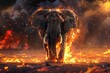 © EarthWalker - Elephant running away from the fire. Destruction of wildlife habitat, ecological disaster. Animal protection concept