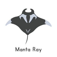 manta ray vector illustration, cartoon clipart, animal in flat style. sea animals, underwater creatu
