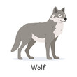 © Vinh - Grey wolf vector illustration, cartoon clipart character, animal in flat style. Wild animals, wild creatures, wildlife concept. Gray wolf vector design isolated on white background