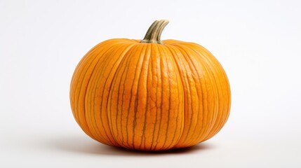 harvest pumpkin on white background