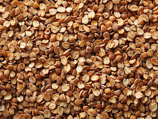 Wall Mural - A Close-Up View of Raw, Uncooked Buckwheat Groats