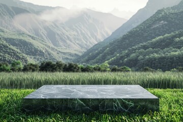 Wall Mural - Abstract 3d render platform and mockup natural background, Stone podium on the grass field backdrop meadow mountain for product stand display, advertising or etc - generative ai