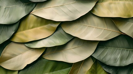 Abstract leaves in the background, a pattern that showcases nature's design. Bright green decoration, a representation of plant life.