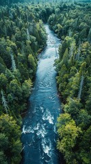 north american forest, bears fishing, flowing river, bird's-eye view, dense trees, wide-angle shot, 