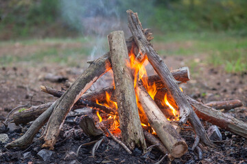 The bonfire burns in the forest. 