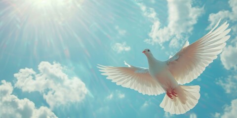 Poster - White dove flying in sky