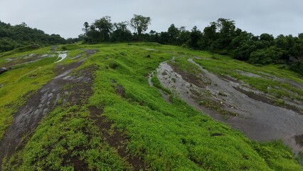 Wall Mural - Vibrant green grass, trees in the distance, overcast sky, monsoon season, rocky trail, and water pooling on the grass.