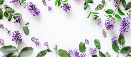 Aufkleber - Aesthetic arrangement of purple flowers and green leaves in a circular pattern on a white backdrop creates a beautiful and invigorating copy space image