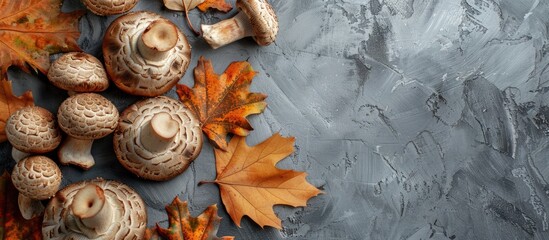 Poster - Top down view on brown champignon mushrooms and oak leaves on a grey surface capturing a fall ambience with copy space image available