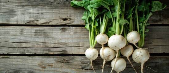 Wall Mural - Flat lay arrangement of white turnips on a wooden table with room for text in the copy space image