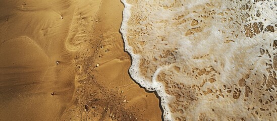 Fototapete - A bird s eye view of a sandy beach with visible sand texture in the background perfect for a copy space image