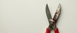 © HN Works - Bloody garden shears on a white backdrop with copy space image highlighting the concept of workplace safety