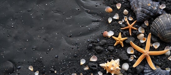 Aufkleber - A beach with dark volcanic sand incorporating seashells and starfish with a backdrop perfect for a copy space image