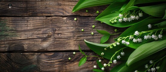 Aufkleber - A charming image featuring lily of the valley with vibrant green leaves set on a rustic wooden backdrop perfect for a cheerful day s greeting. Creative banner. Copyspace image