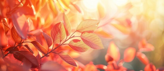 Aufkleber - Close up of vibrant autumn leaves on a tree or bush with warm colorful background presenting a natural theme and including copy space image