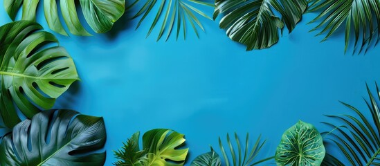 Aufkleber - Top view flat lay composition featuring tropical palm and monstera leaves on a blue background with a clipping path isolated for a copy space image enhancing a tropical and jungle aesthetic