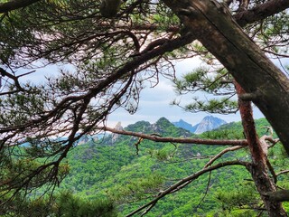 Image of summer scenery of Dobongsan Mountain near Seoul, Korea. Hiking in Dobosan National Park. korea mountains. trekking. korean landscapes. bukhansan national park.