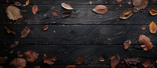 Aufkleber - Dark wooden background with autumn leaves Provides copy space image