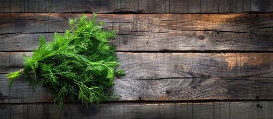 Poster - Top view of a cluster of fresh dill on a rustic wooden surface providing ample copy space for a picture