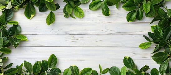 Fototapete - Top view of a border frame made of green leaves and plants on a white wooden background with copy space image