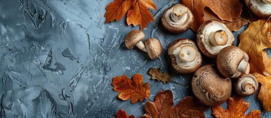 Poster - Top down view on brown champignon mushrooms and oak leaves on a grey surface capturing a fall ambience with copy space image available