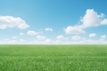 Canvas Print - Lawn sky outdoors horizon.