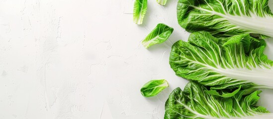 Aufkleber - Chinese cabbage on a blank white backdrop with copy space for text or design
