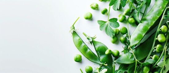 Canvas Print - Close up of fresh green peas on a white background with copy space image available