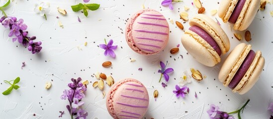 Sticker - Top view of colorful almond cookies cake macaron or macaroon with violet spring flowers on a white background offering copy space image