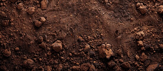 Aufkleber - Background of brown soil texture with copy space image