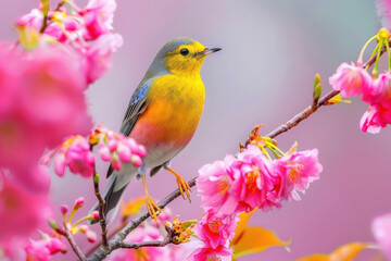 colorful bird standing on flower branch
