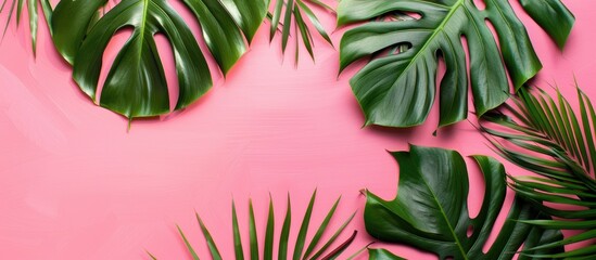 Poster - Bright pink background adorned with artistic tropical leaves allows space for personalized content emphasizing a vibrant tropical theme in a flatlay copy space image