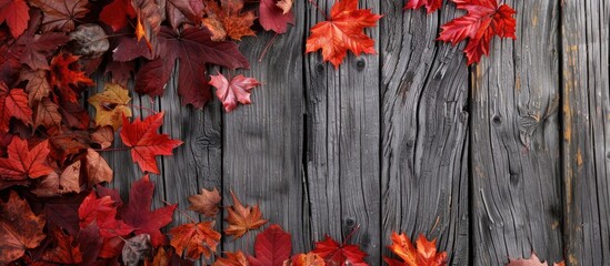 Aufkleber - Autumn leaves in vibrant shades decorate a wooden backdrop perfect for a copy space image