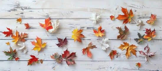 Aufkleber - Autumn colors with multi colored maple leaves scattered on a white textured wooden table creating an appealing copy space image