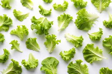 Fresh green lettuce leaves scattered randomly on a transparent white background, creating a clean and minimalist composition, perfect for healthy eating or food-themed designs.