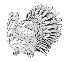 Sticker - Beautiful turkey monochrome detailed sticker