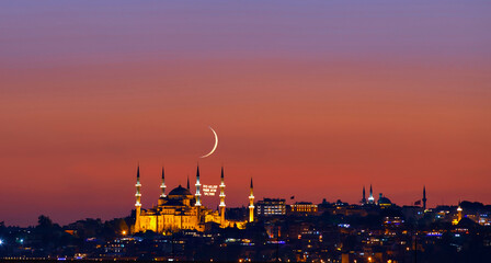 Wall Mural - The Blue Mosque or Sultan Ahmet Mosque in the bosphorus, Istanbul